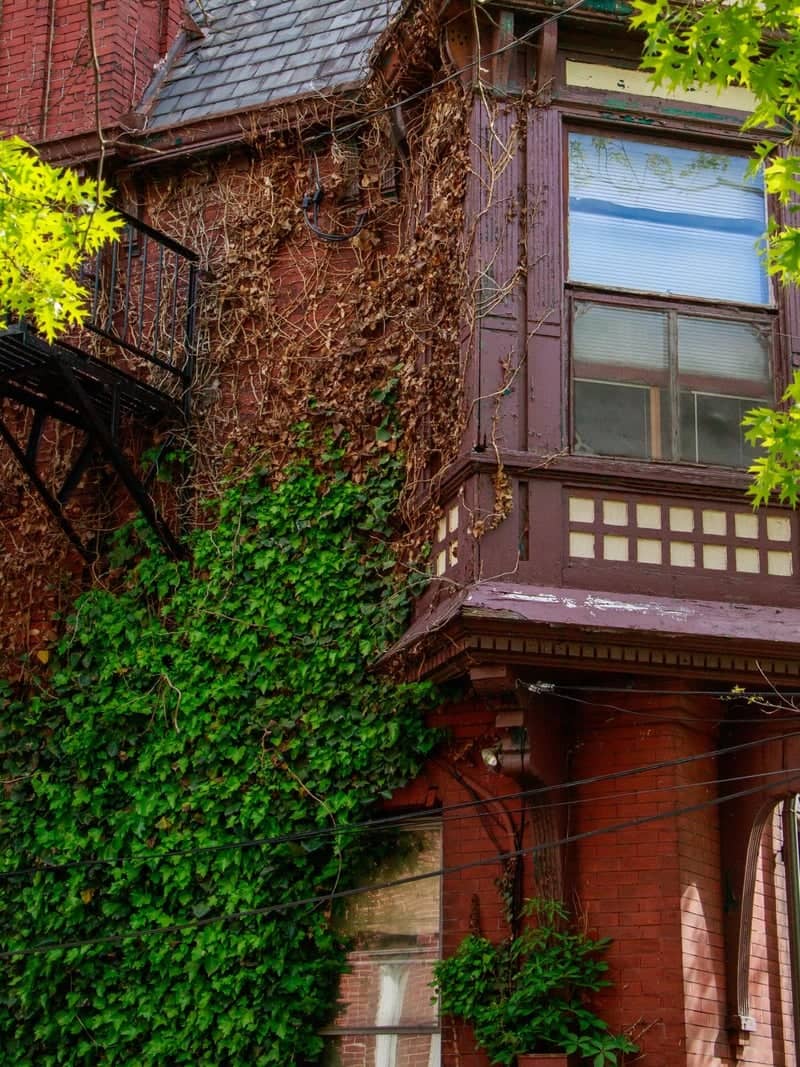 Historic Radcliffe Street Architecture - Image 1