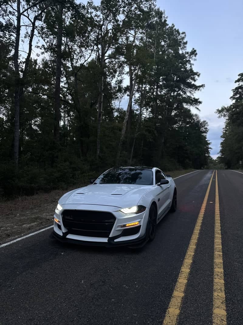 State Highway 75 Forest Road - Image 1
