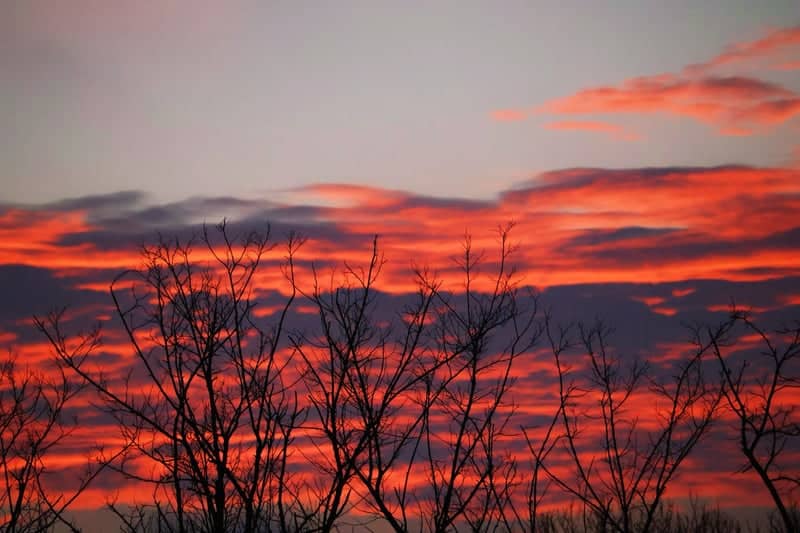 Rural Sunset Silhouette - Image 1