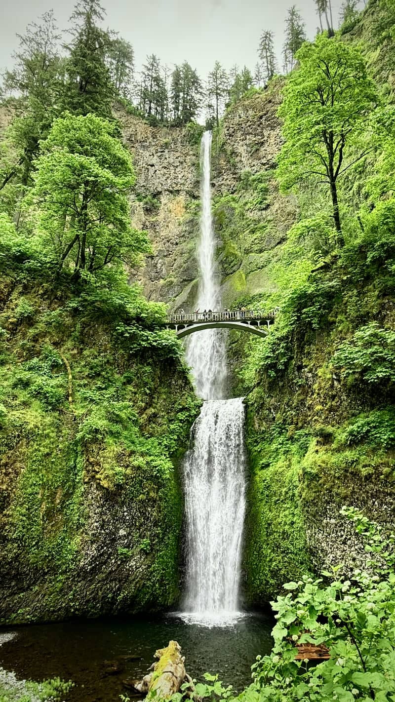 Multnomah Falls - Image 1