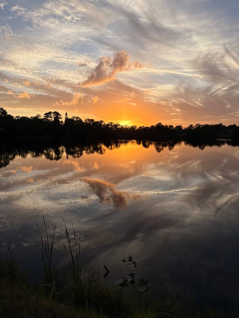 Grant Valkaria Pond Reflection - Image 1