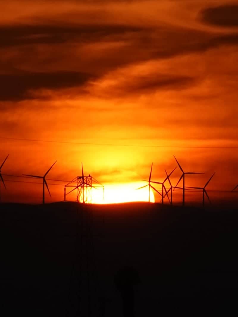 Altamont Pass Wind Turbines - Image 1