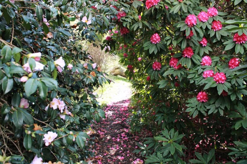 Seaforde Gardens - Image 1