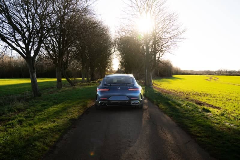 Essex Countryside Tree Tunnel - Image 1