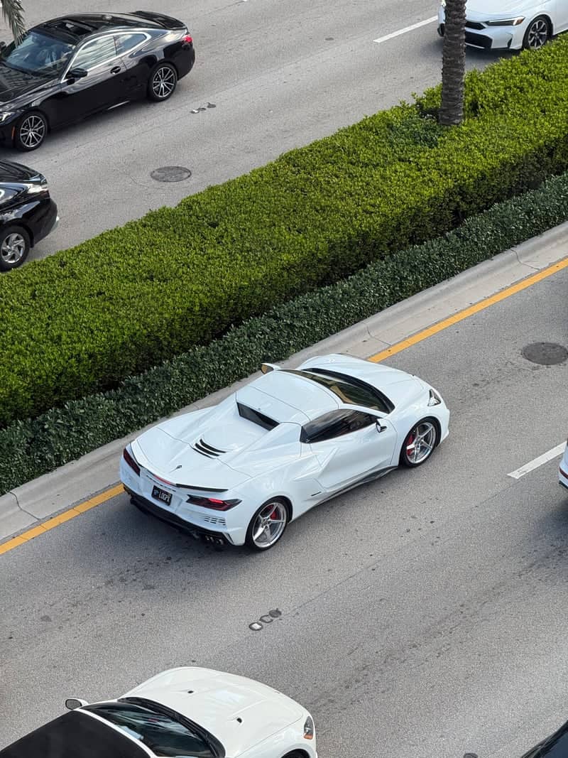 Collins Avenue Overlook - Image 1