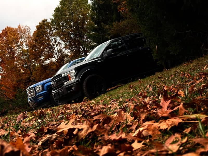 Clarkston Autumn Woodlands - Image 1