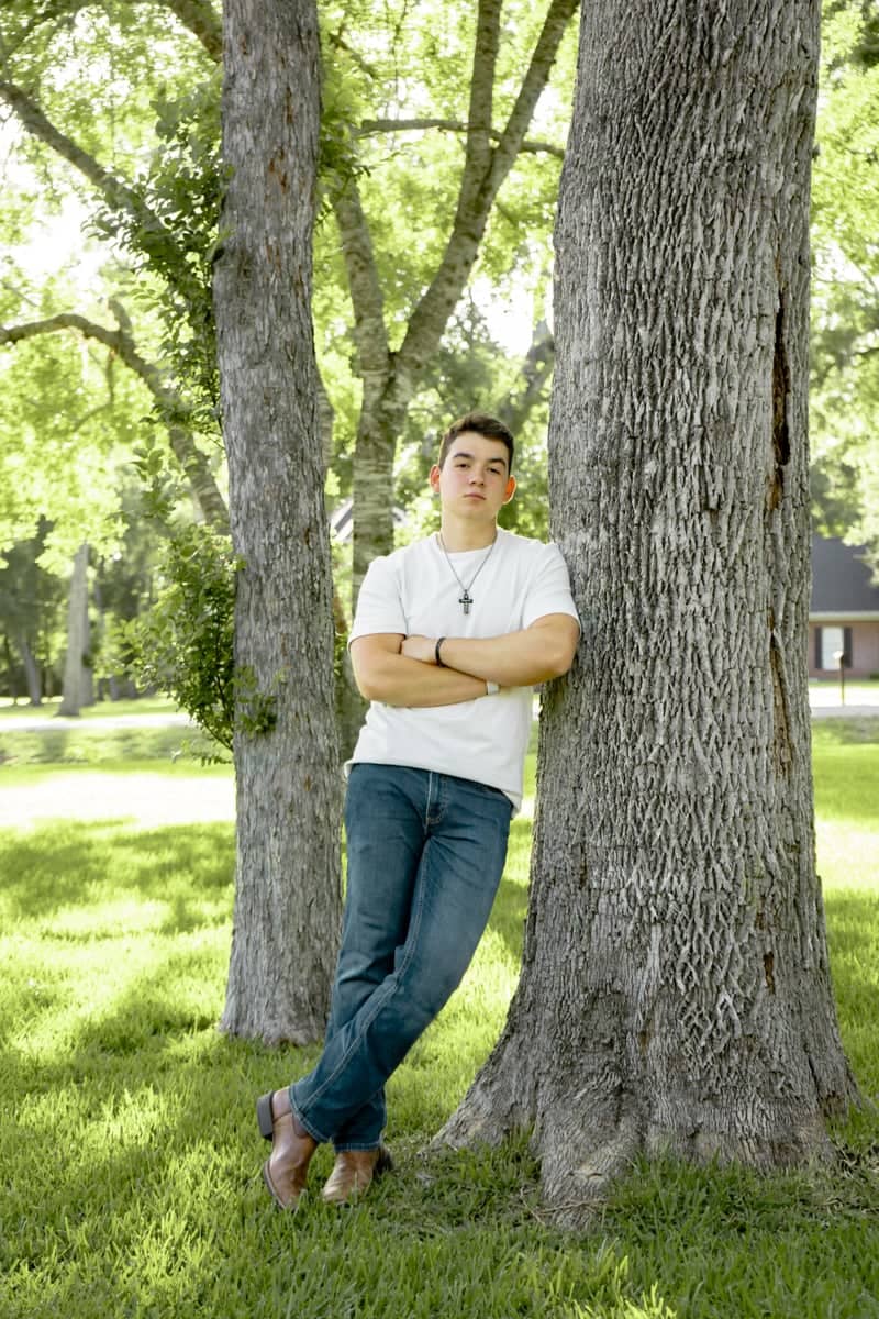 River Forest Tree Grove - Image 1