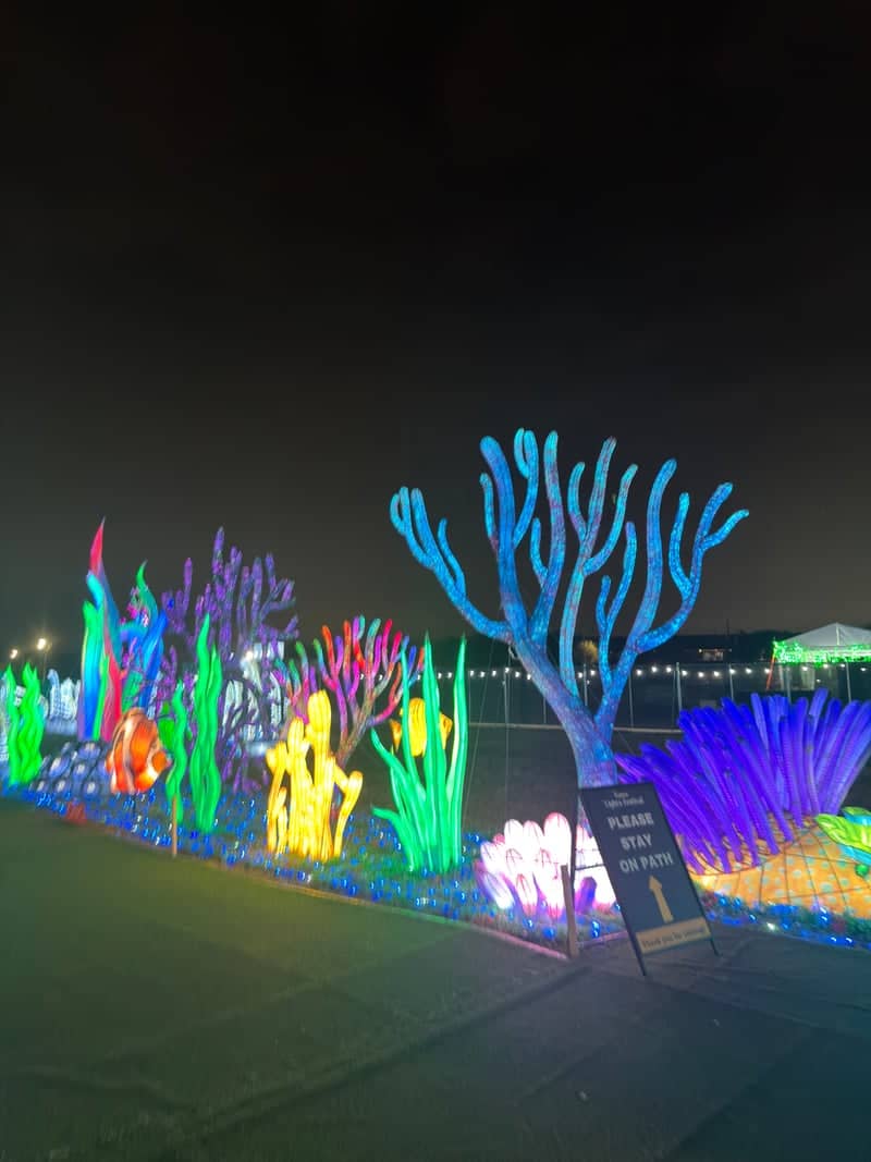 Grand Prairie Light Festival - Image 1