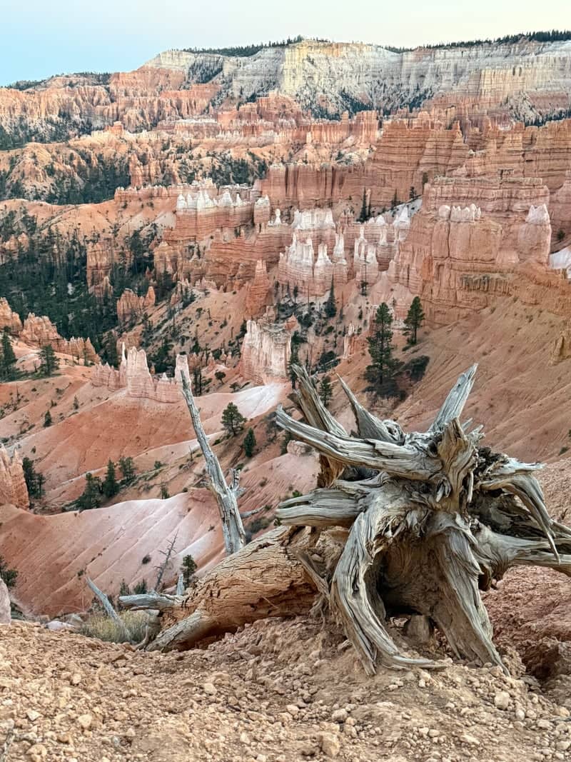 Bryce Canyon Amphitheater - Image 1