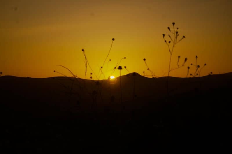 Black Hill Trail Overlook - Image 1
