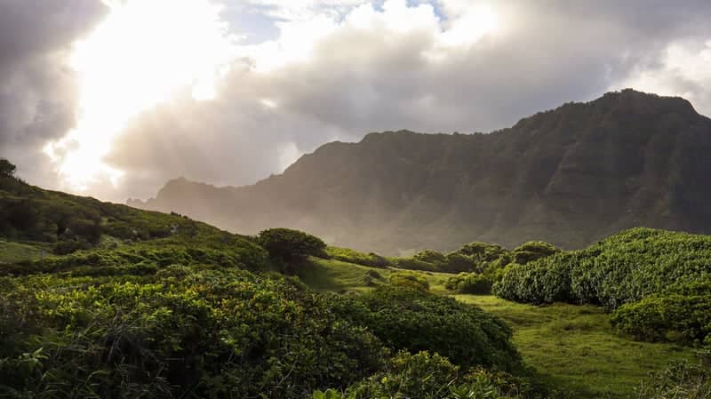 Ko'olau Mountains Viewpoint - Image 1