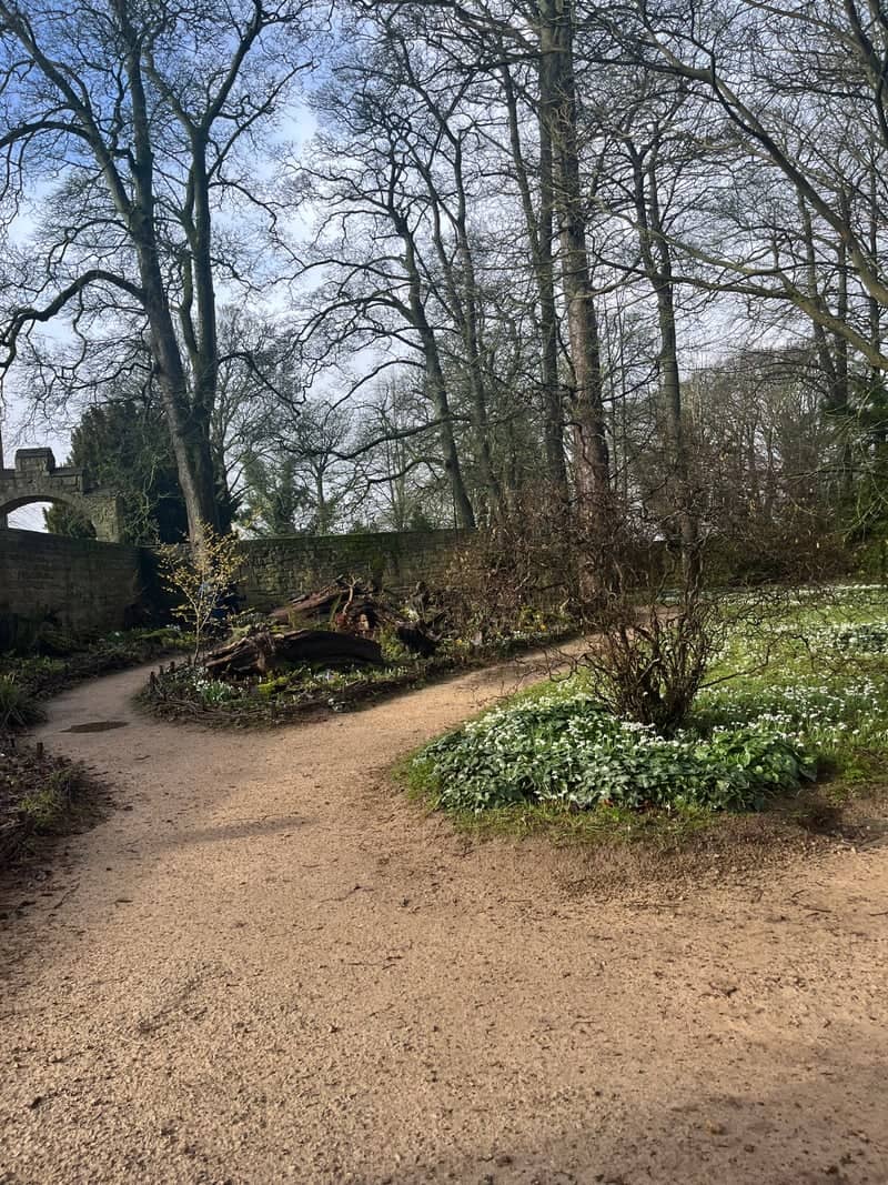 Hardwick Estate Woodland Path - Image 1