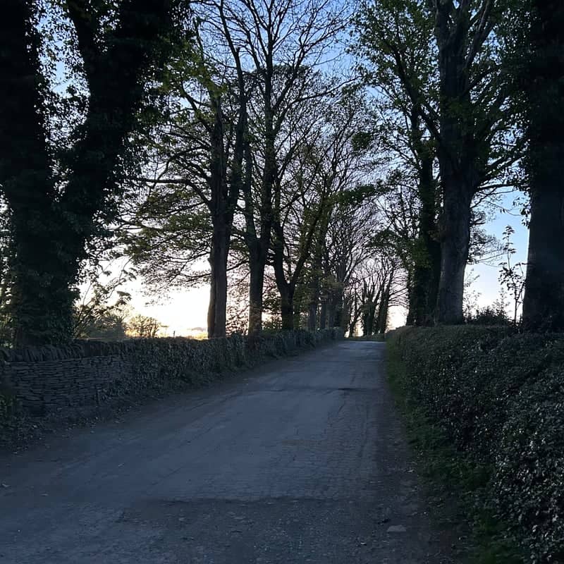 Linacre Country Lane - Image 1