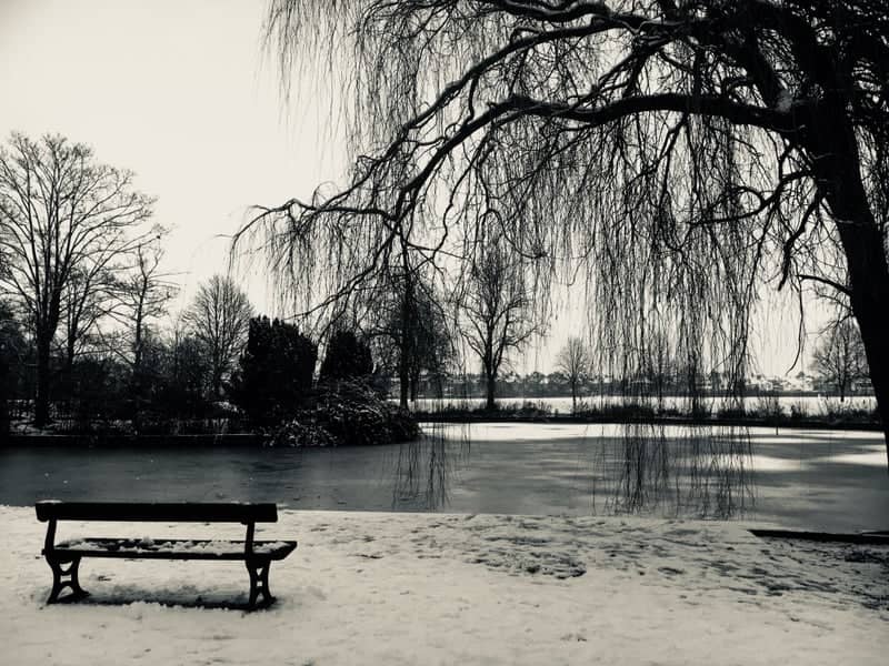 South Park Lake - Image 2