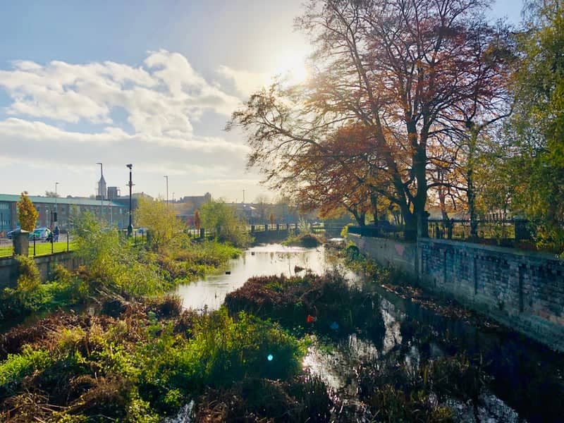 River Skerne Urban View - Image 1