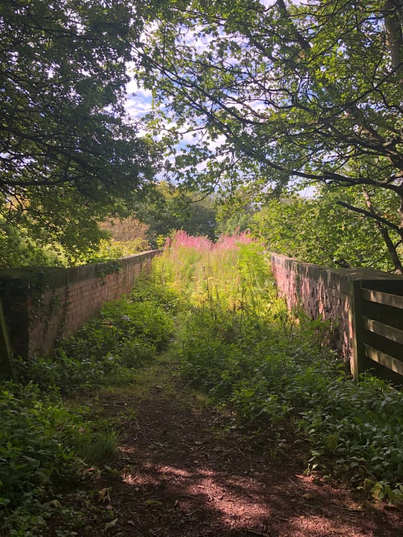 Castle Eden Walkway Railway Bridge - Image 1