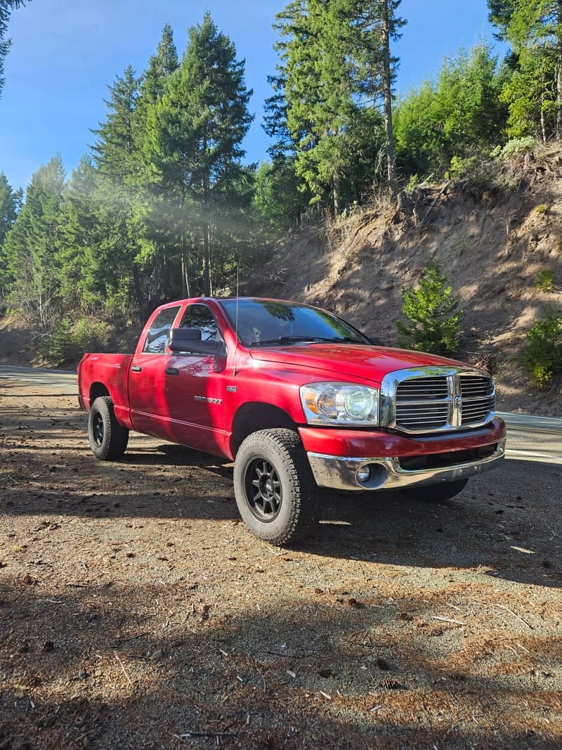 Umpqua National Forest Roadside - Image 1