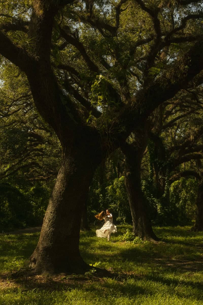 Tree Tops Park - Image 1