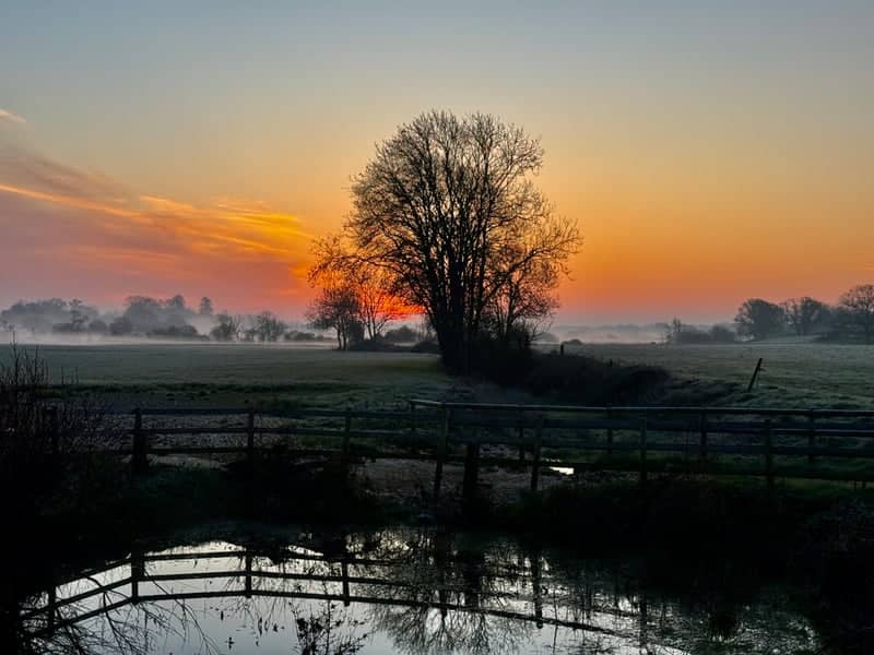 Wimborne Countryside Meadows - Image 1