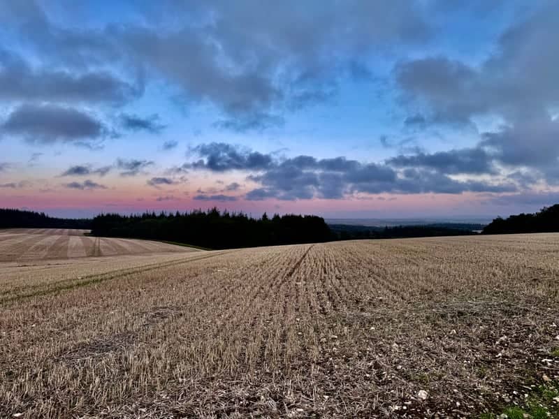Dorset Downs Rolling Fields - Image 1