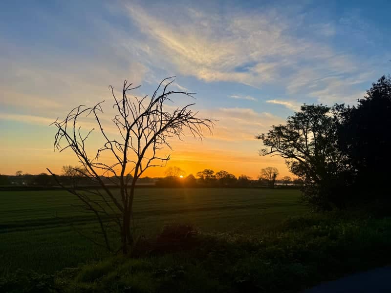 Dorset Countryside Sunset - Image 1