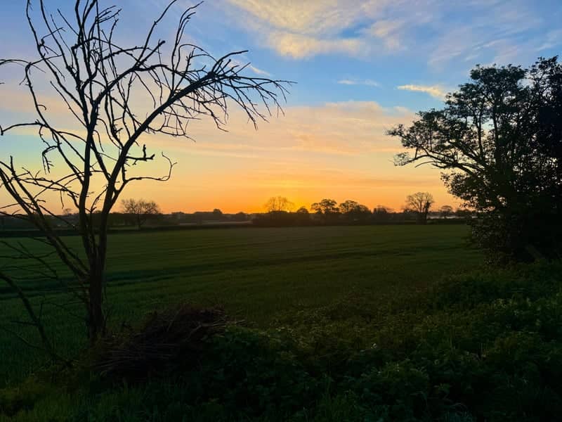 Dorset Countryside Sunset - Image 1