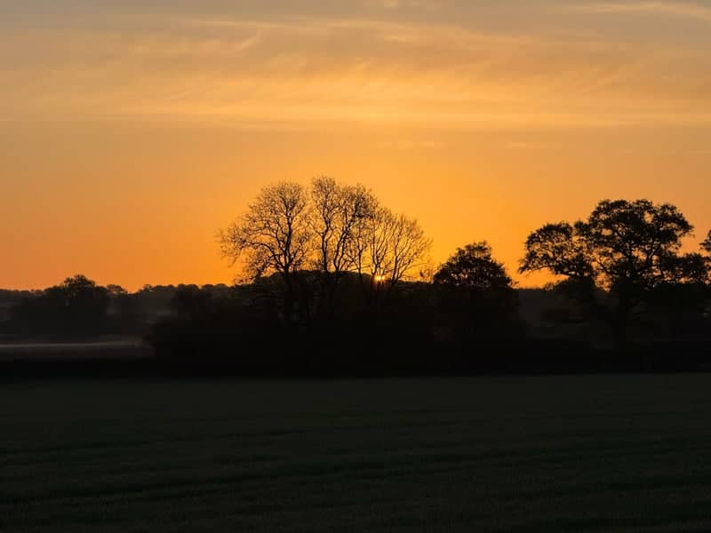 Tarrant Keyneston Countryside - Image 1