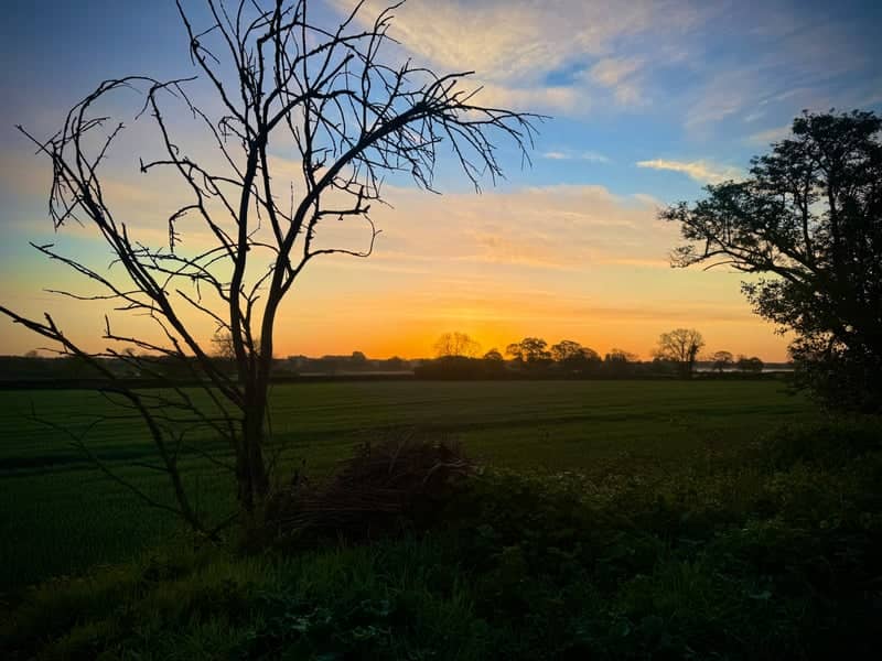 Dorset Countryside Sunset - Image 1