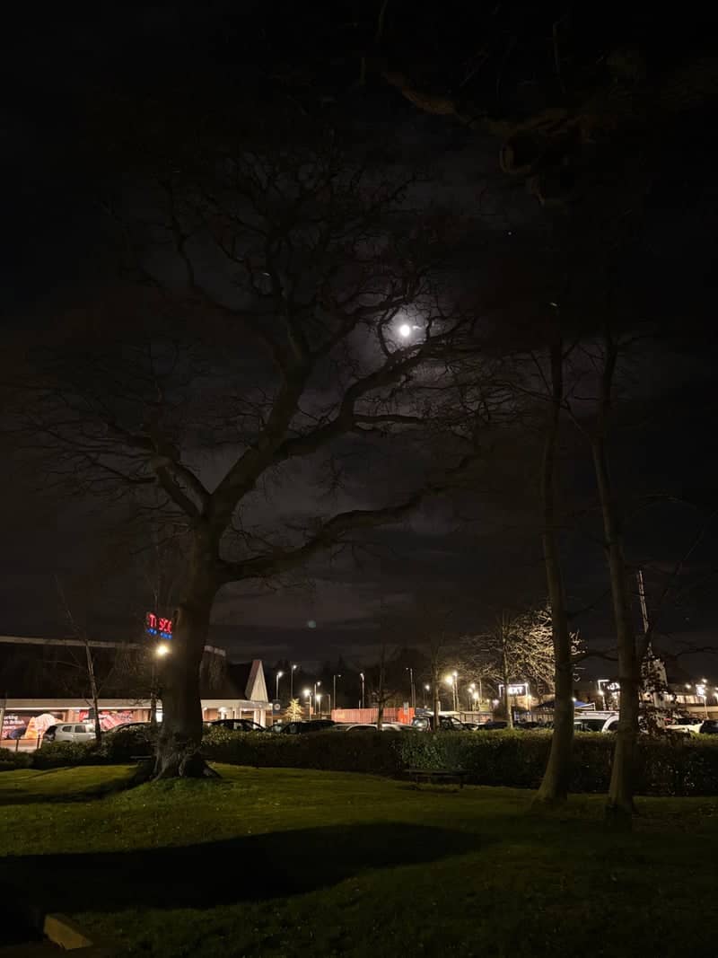The Meadows Retail Park Green - Image 1