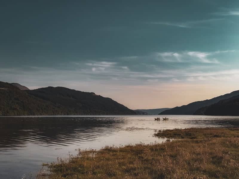 Loch Fyne Shoreline - Image 1