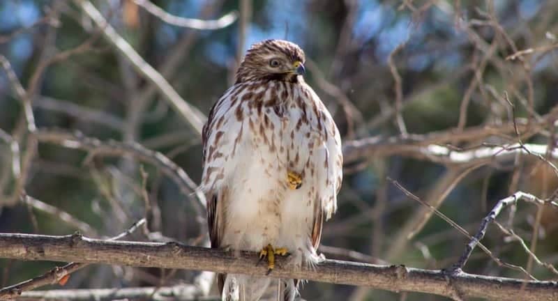 Swamp Rabbit Trail - Image 1