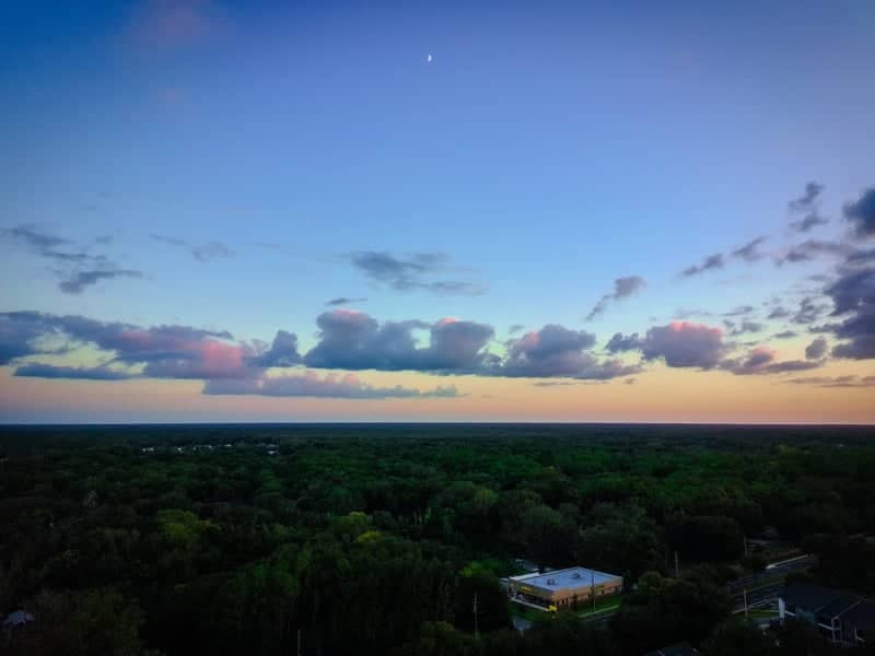 Newberry Forest Horizon - Image 1