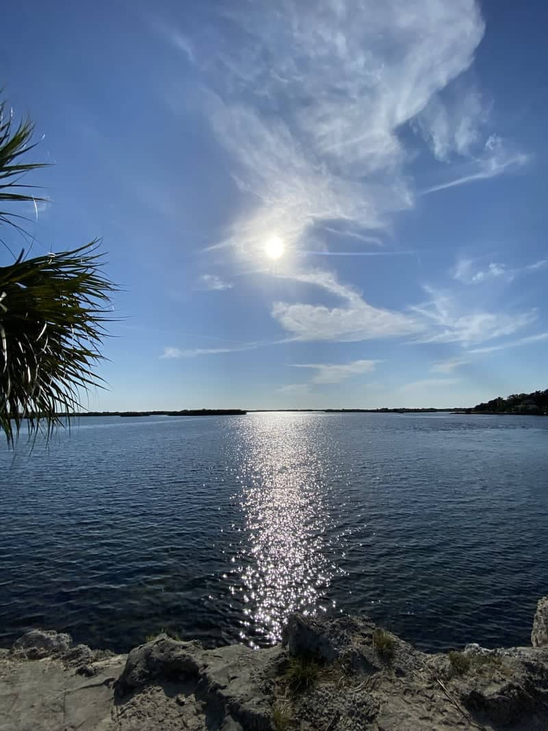 Ozello Trail Scenic Overlook - Image 1