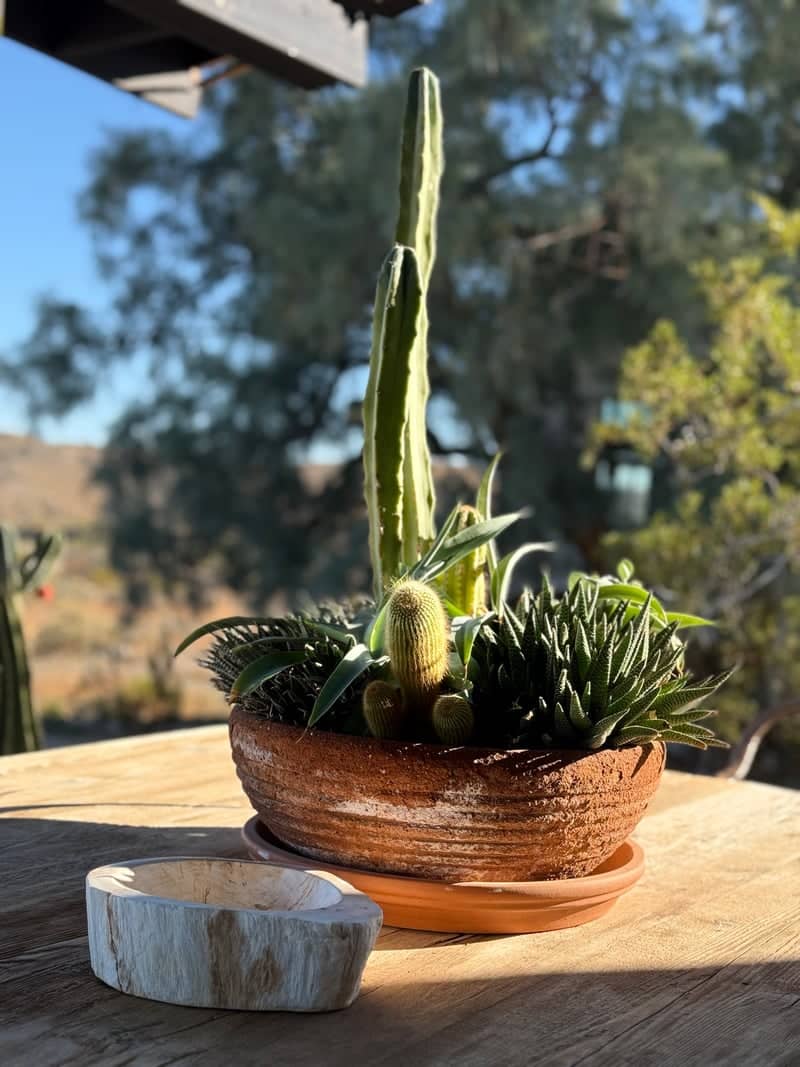 Twentynine Palms Desert Patio - Image 1