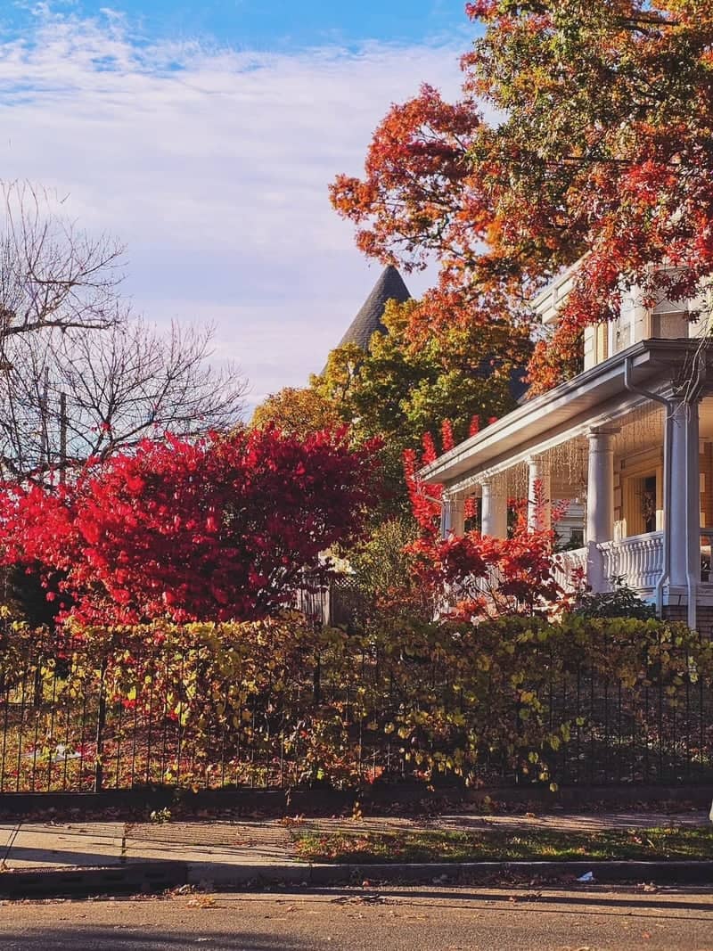 Forest Hill Historic District - Image 1