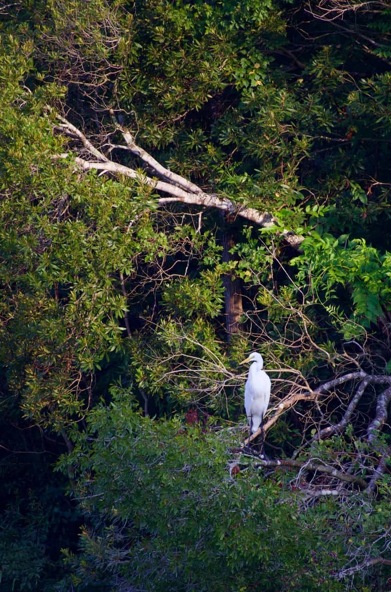 Blackwater Conservation Area - Image 1