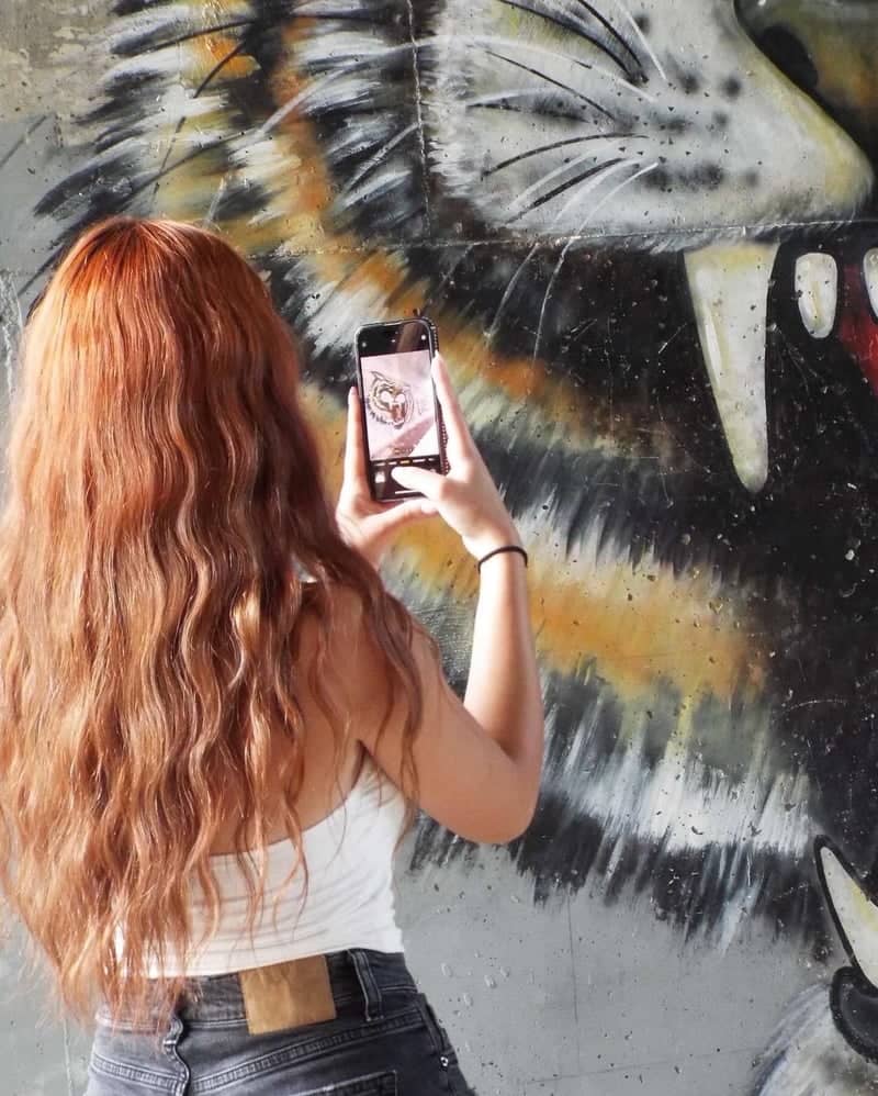 Madrid Tiger Mural - Image 1