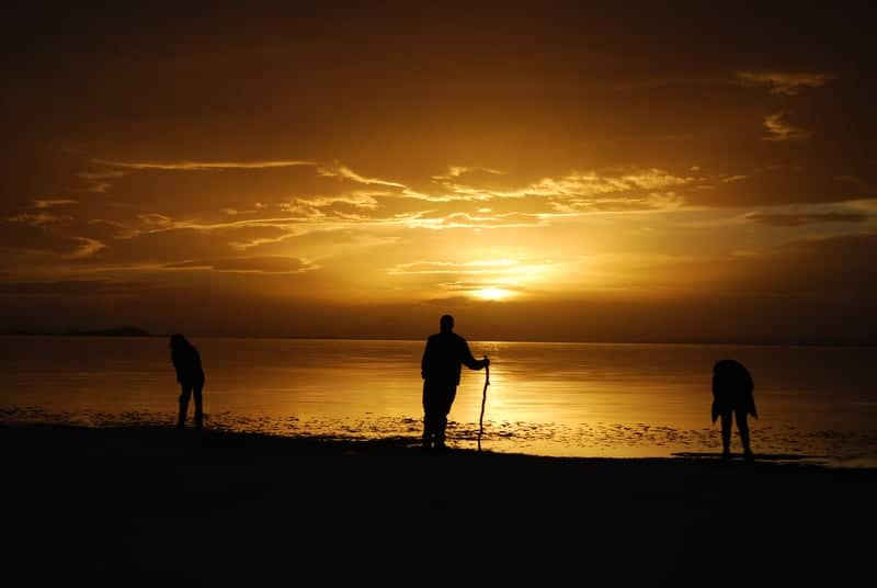 Great Salt Lake Shoreline - Image 1