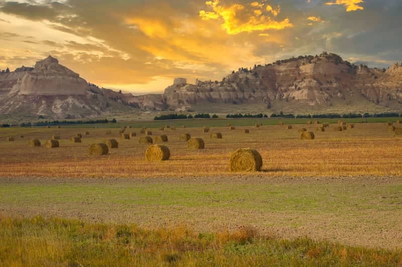 Wildcat Hills Farmland View - Image 1