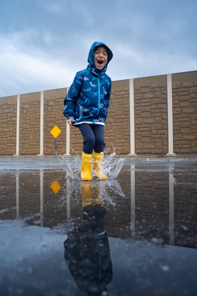 Suburban Rain Puddle Reflection - Image 1