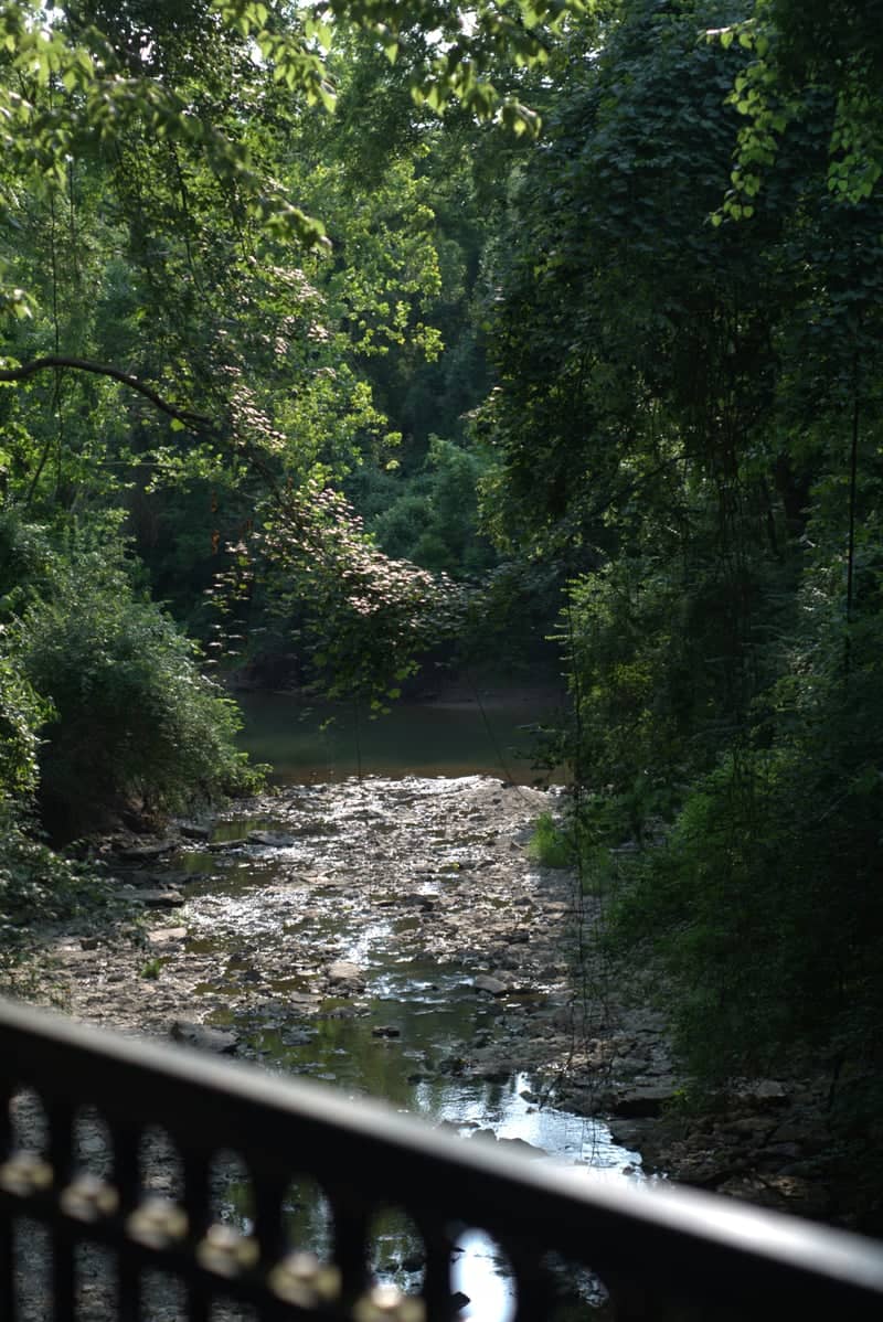 Line Creek Trail Bridge - Image 1