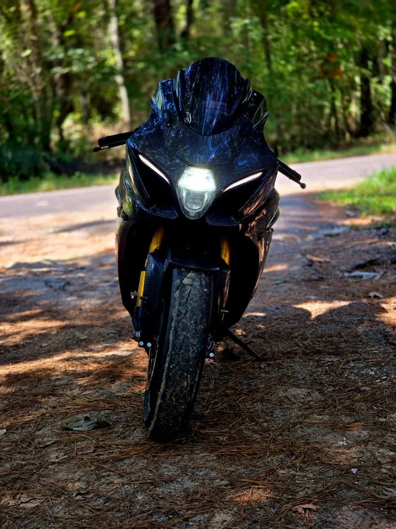 Piney Woods Forest Road - Image 1