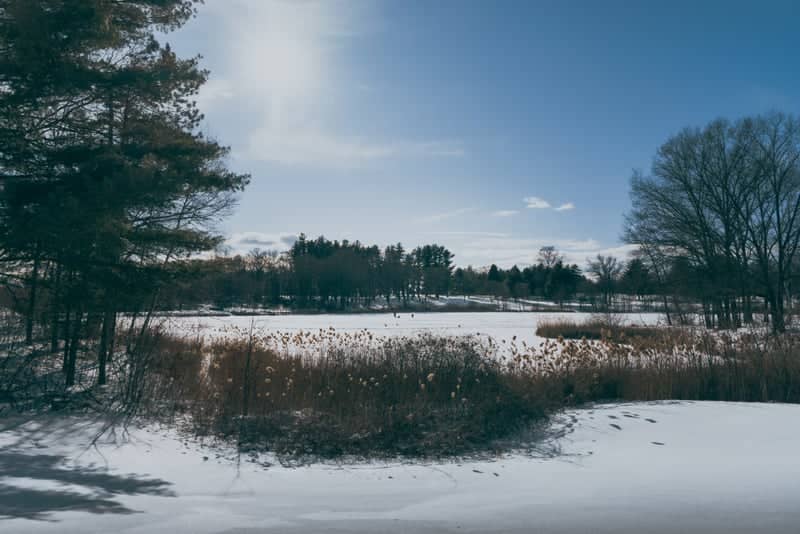 Fall Kill Creek Pond - Image 2