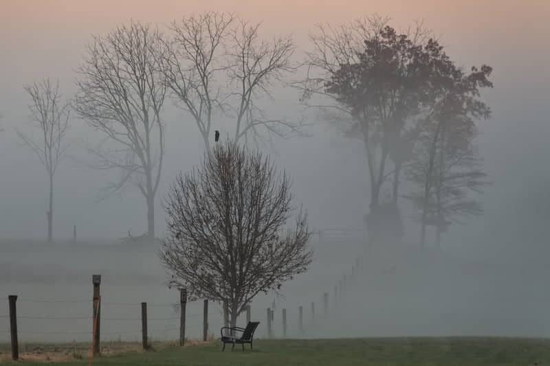 Lancaster County Farmland - Image 1
