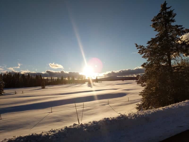 Greenville Winter Snowfield - Image 1
