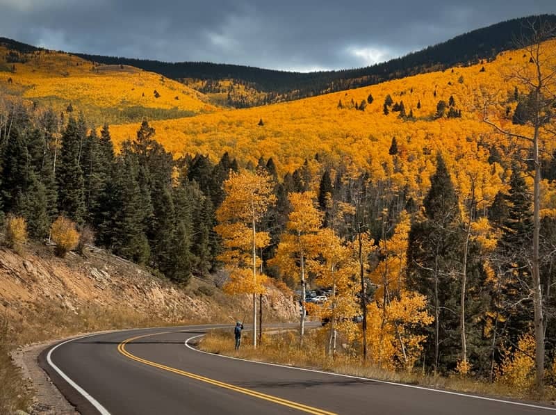 Winding Mountain Pass in Autumn - Image 1