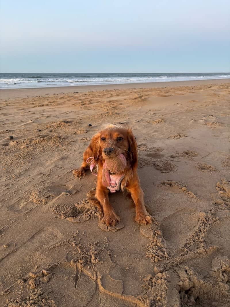 Redcar Beach - Image 1