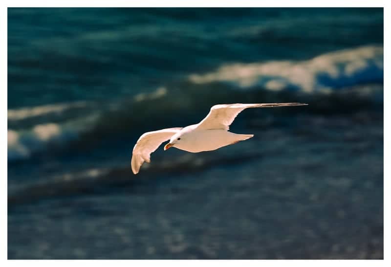 Hayle Beach - Image 1