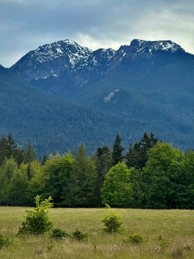Deer Park Road Olympic Mountain View