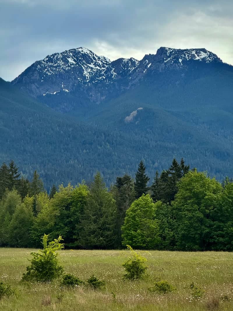 Deer Park Road Olympic Mountain View - Image 1
